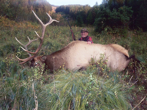 Montana Horseback Wilderness Elk Hunt 