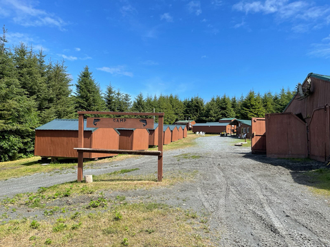 Alaskan Coastal Brown Bear with a Deluxe Yacht Option