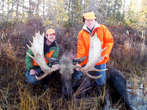 Manitoba Canadian Moose