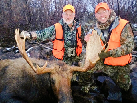 Manitoba Canadian Moose