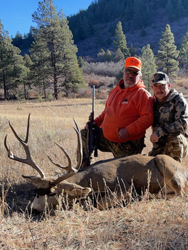 Colorado Trophy Quality Mule Deer