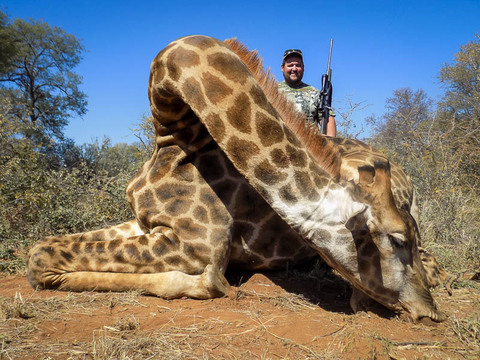 South African Plains Game Safari