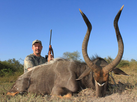 Mozambique Cape Buffalo and Plains Game