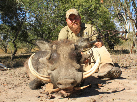 Mozambique Cape Buffalo and Plains Game