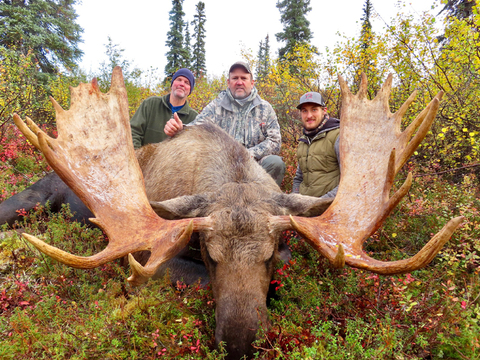 Lake Iliamna Trophy Alaskan Moose Hunt 