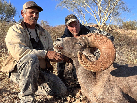 Mexico Desert Bighorn Sheep Hunt