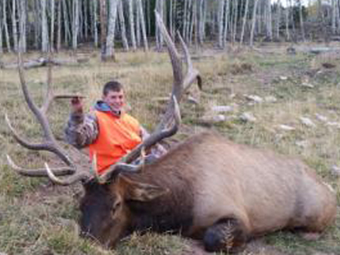 Utah Diamond Mountain Trophy Class Bull Elk