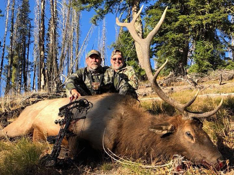 Lodge Based or Back-Country Idaho Elk Hunt