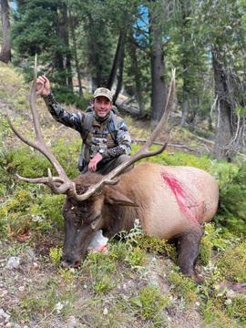 Lodge Based or Back-Country Idaho Elk Hunt