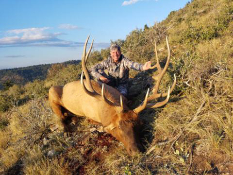 Utah Diamond Mountain Trophy Class Bull Elk