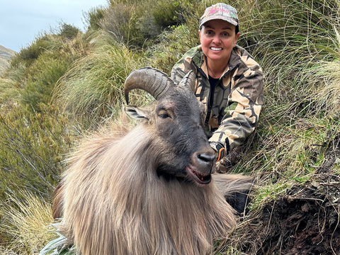 High Success New Zealand Tahr Hunt