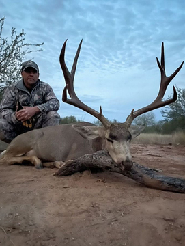 Sonora Mexico Private Land Mule Deer