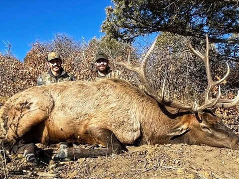 Colorado San Juan Mountains Elk Hunt