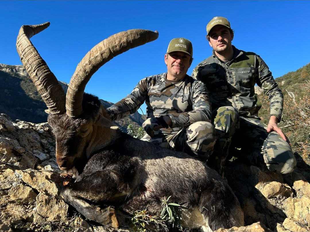 Spain Ibex