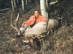 Awesome 6x6 Beaver Creek Bull